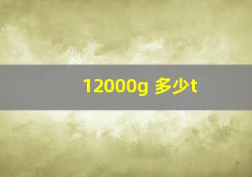 12000g 多少t